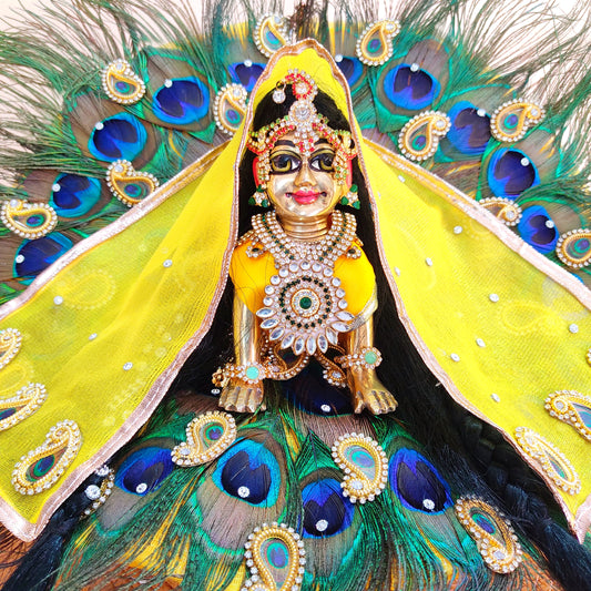 Peacock Feather Special Radha Rani Poshak –  Janmashtami Special Designer Dress with Chunri & Full Shringar Set