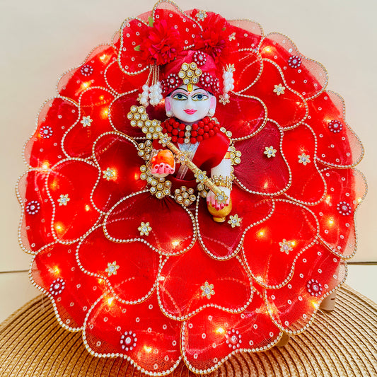 LED Light Heart Petal Kanha ji Dress with Mukut & Surprise Gift