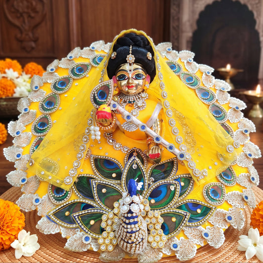 3D Peacock Radha Krishna Dress with Chunri, Bansuri and a Surprise Gift