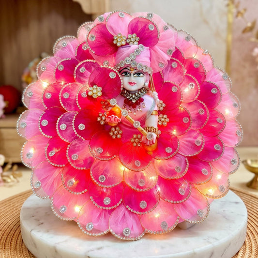 Two-in-One LED Light Krishna Dress with Mukut, Bansuri & Surprise Gift