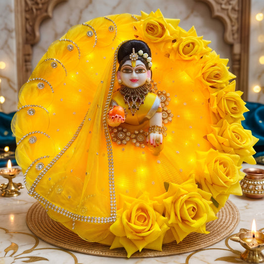 LED Light Rose Kishori Ji Dress with Dupatta, Bansuri and Surprise Gift
